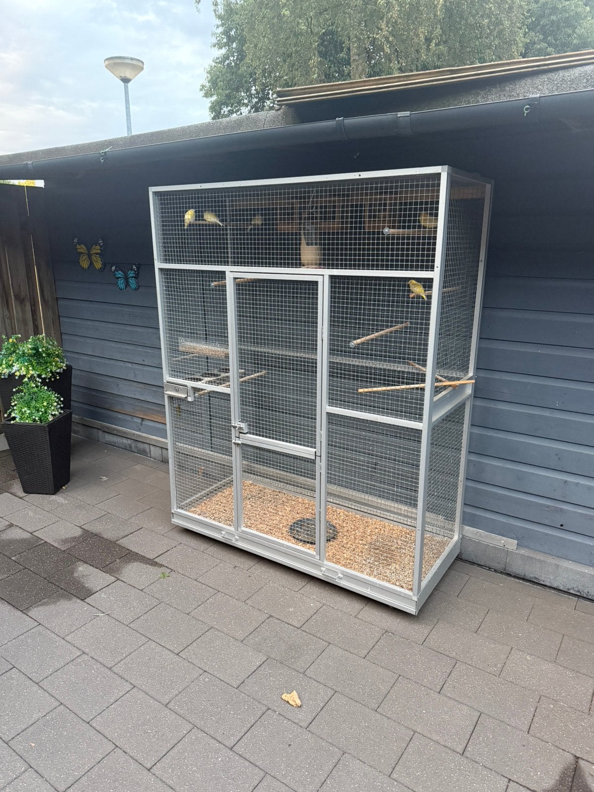 Te koop vogel kooi op wielen, Dieren en Toebehoren, Ophalen, Zo goed als nieuw, Metaal, Volière