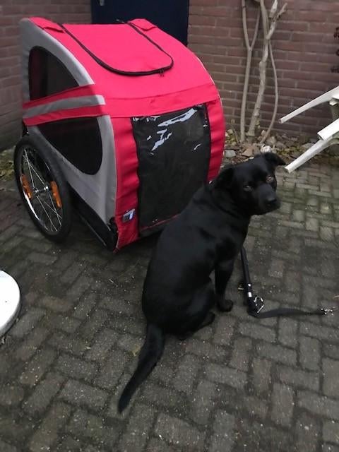hondenfietskar, Fietsen en Brommers, Ophalen, Opvouwbaar, 20 tot 40 kg, Zo goed als nieuw