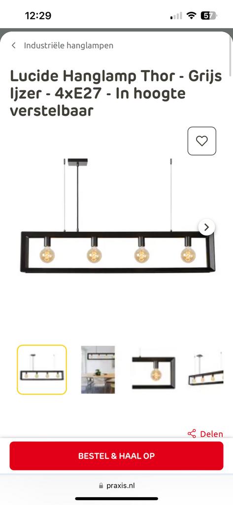 Industiele hanglamp, Ophalen of Verzenden, Nieuw