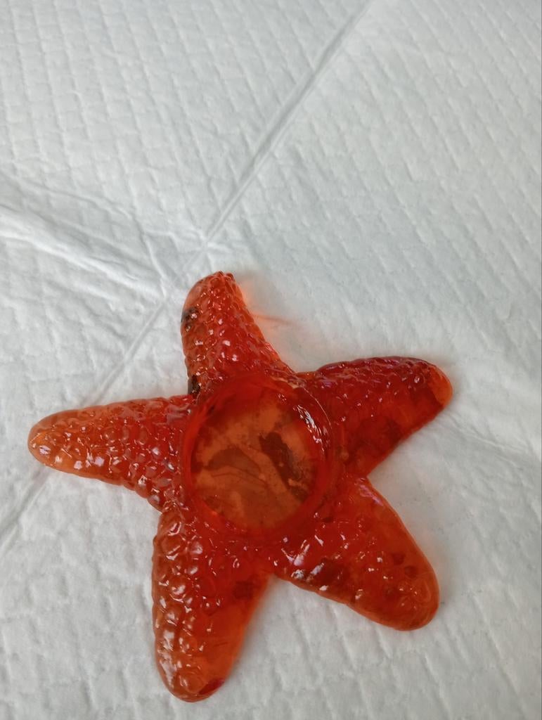 Waxinelichthouder van epoxy zeester, Ophalen of Verzenden, Overige materialen, Minder dan 25 cm