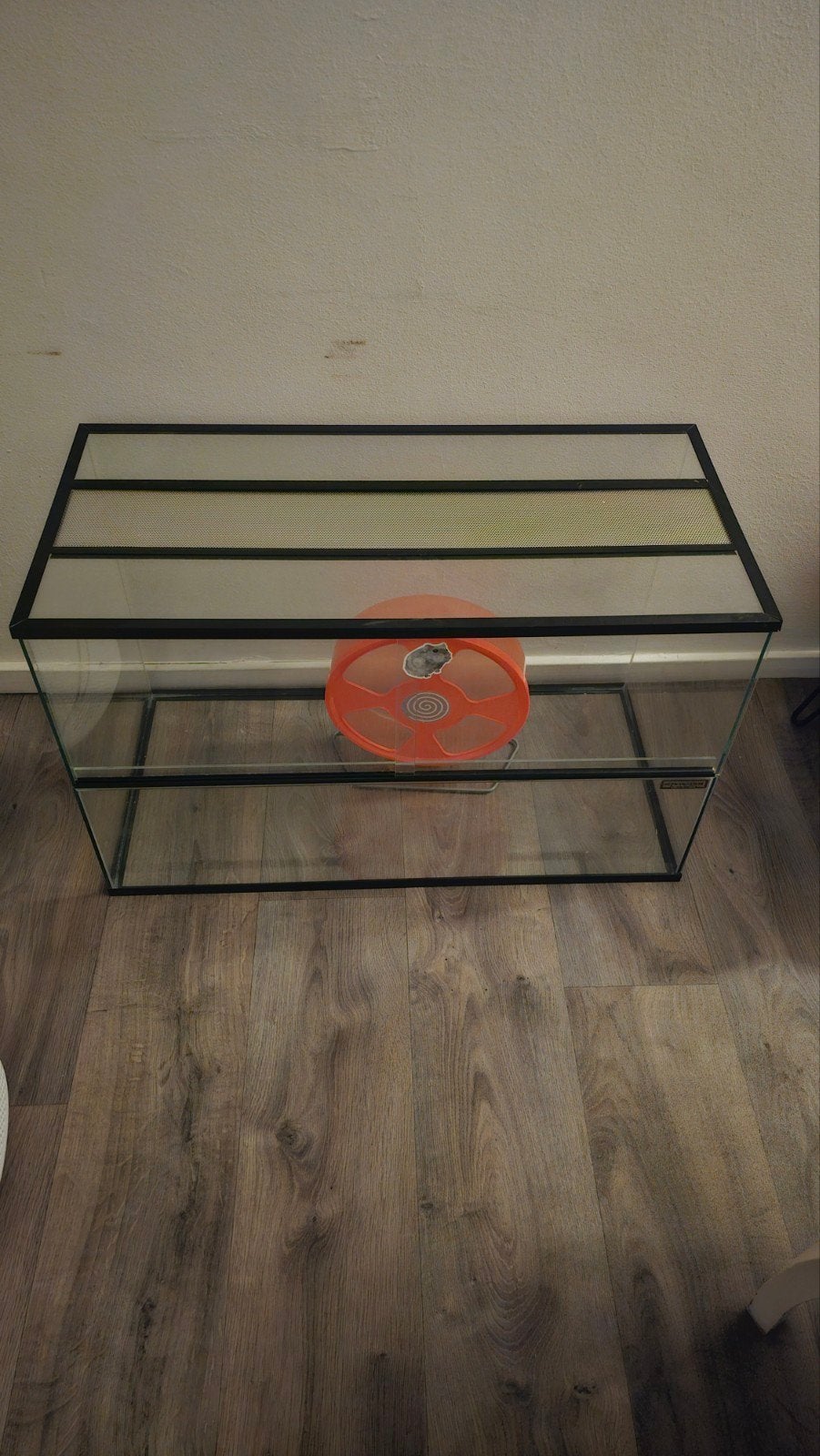 hamster kooi nieuw, Dieren en Toebehoren, Minder dan 60 cm, Kooi, Hamster, Nieuw