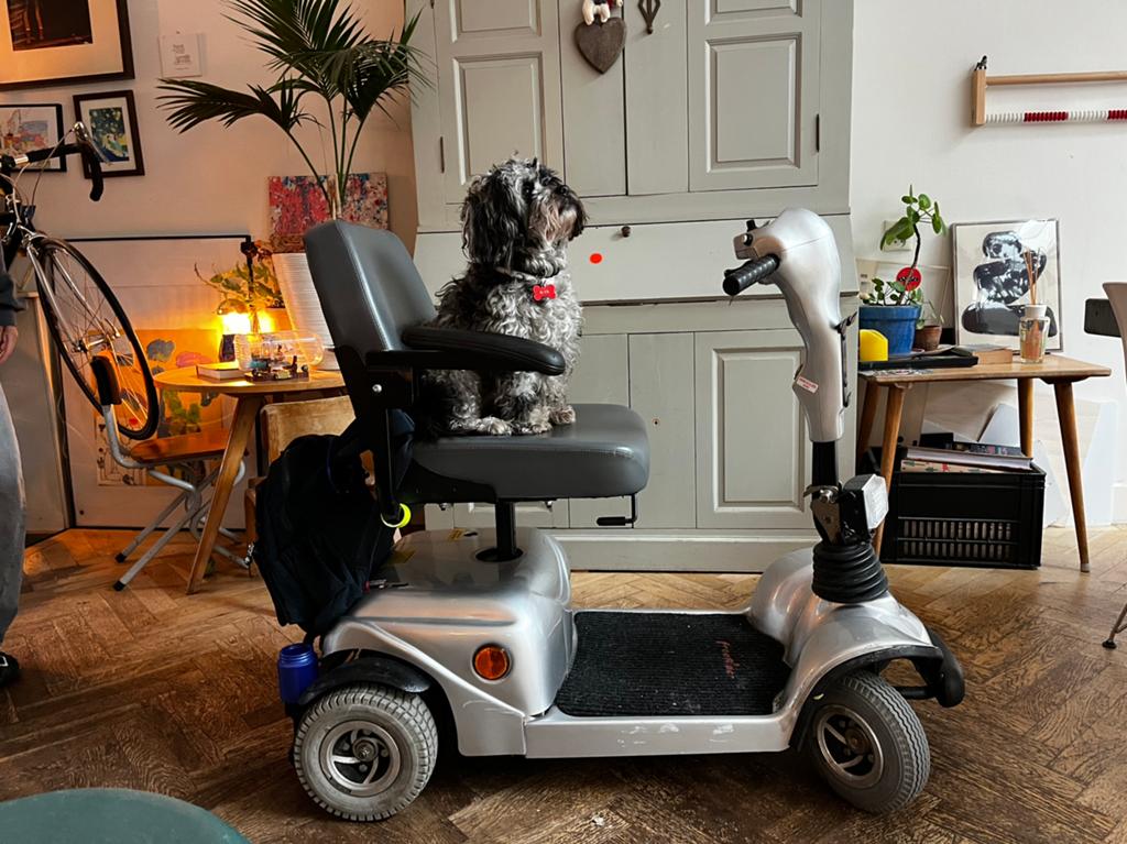 Mango freerider scootmobiel, Diversen, Brommobielen en Scootmobielen, Ophalen, Gebruikt, 16 t/m 25 km, Mango