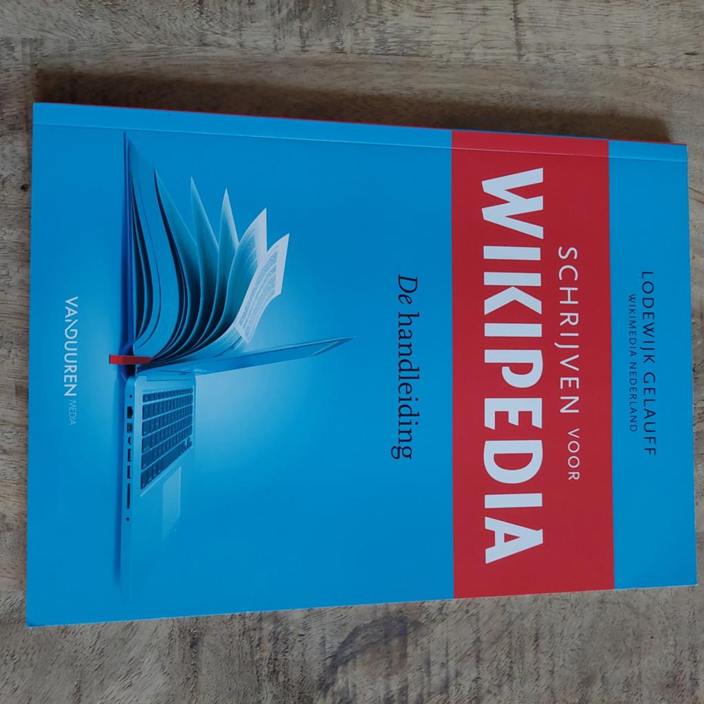 Lodewijk Gelauff - Handleiding, Boeken, Informatica en Computer, Zo goed als nieuw, Internet of Webdesign, Ophalen of Verzenden