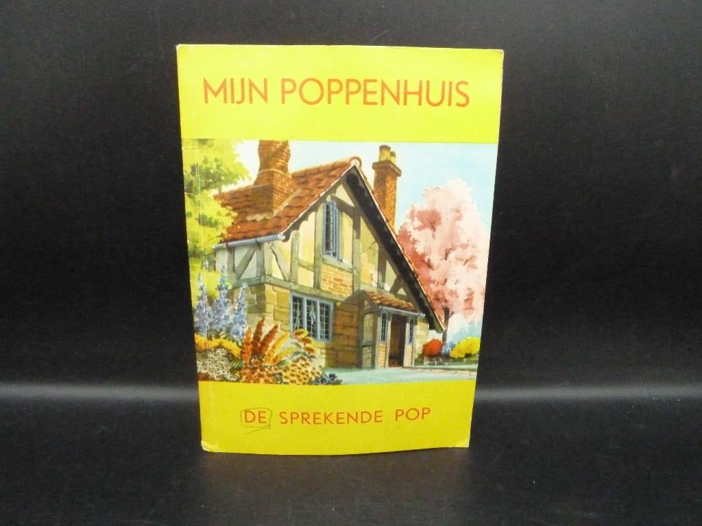 Pop-up boekje mijn poppenhuis, Kinderen en Baby's, Speelgoed | Poppenhuizen, Ophalen of Verzenden, Gebruikt, Poppenhuis