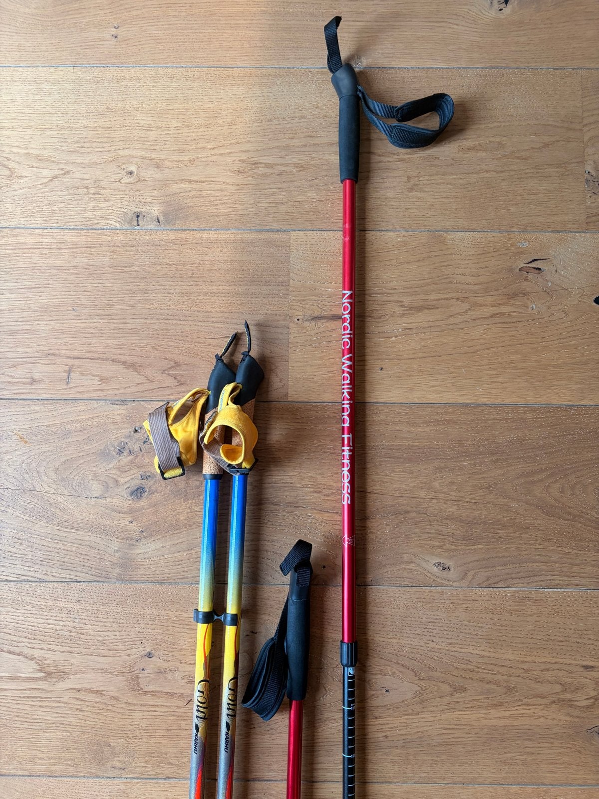 Twee paar nordic walking stokken, Ophalen, Gebruikt, Wandelstok