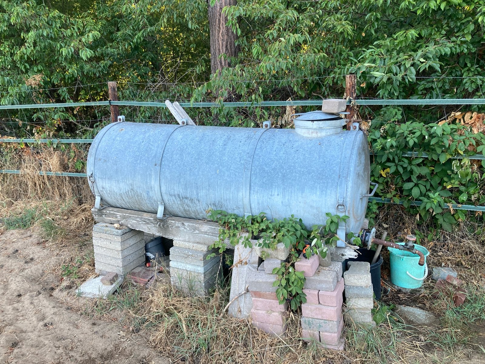 Grote watertank/opslagtank 1000L, Ophalen, Gebruikt