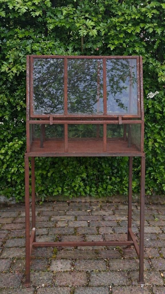 tuinkas, Staal, Ophalen of Verzenden, Glas, Kweekkas
