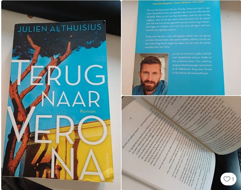 Boek : Terug naar Verona (Julien Althuisius) Heel goed, Ophalen of Verzenden, Zo goed als nieuw, Julien Althuisius, Nederland