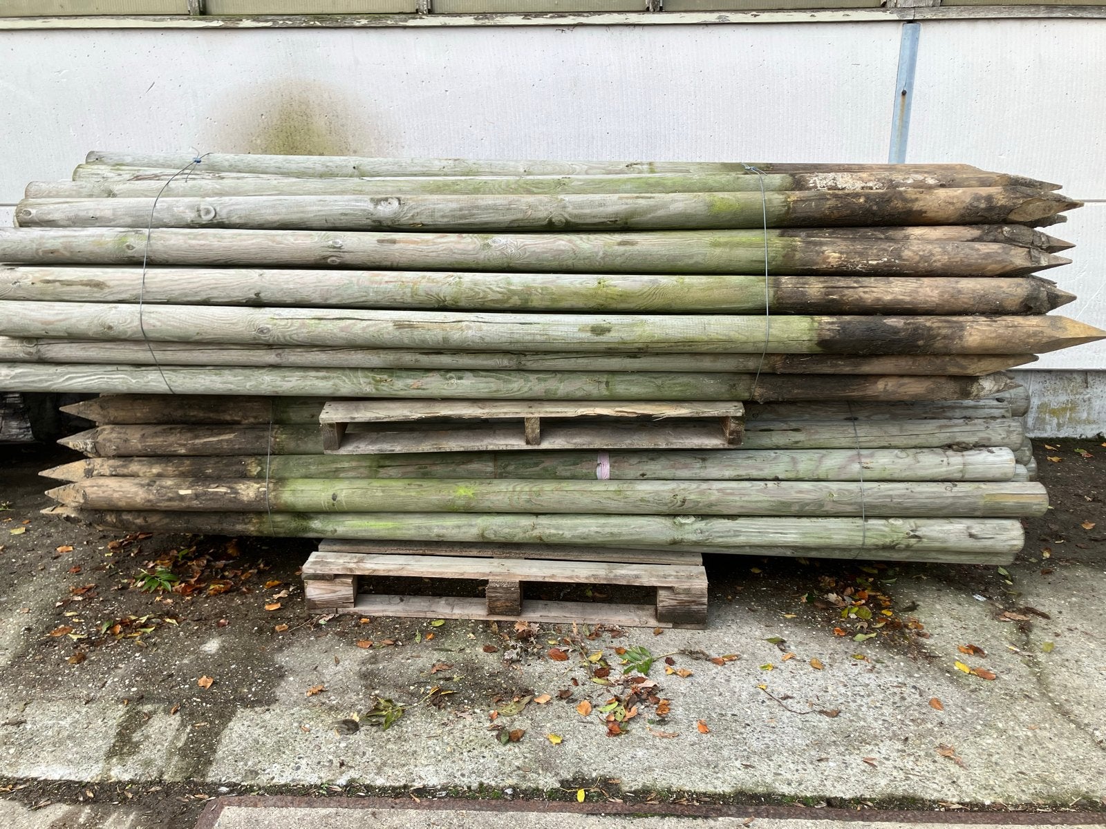 Gebruikte weidepalen - 10cm dik, 3m lang, gepunt