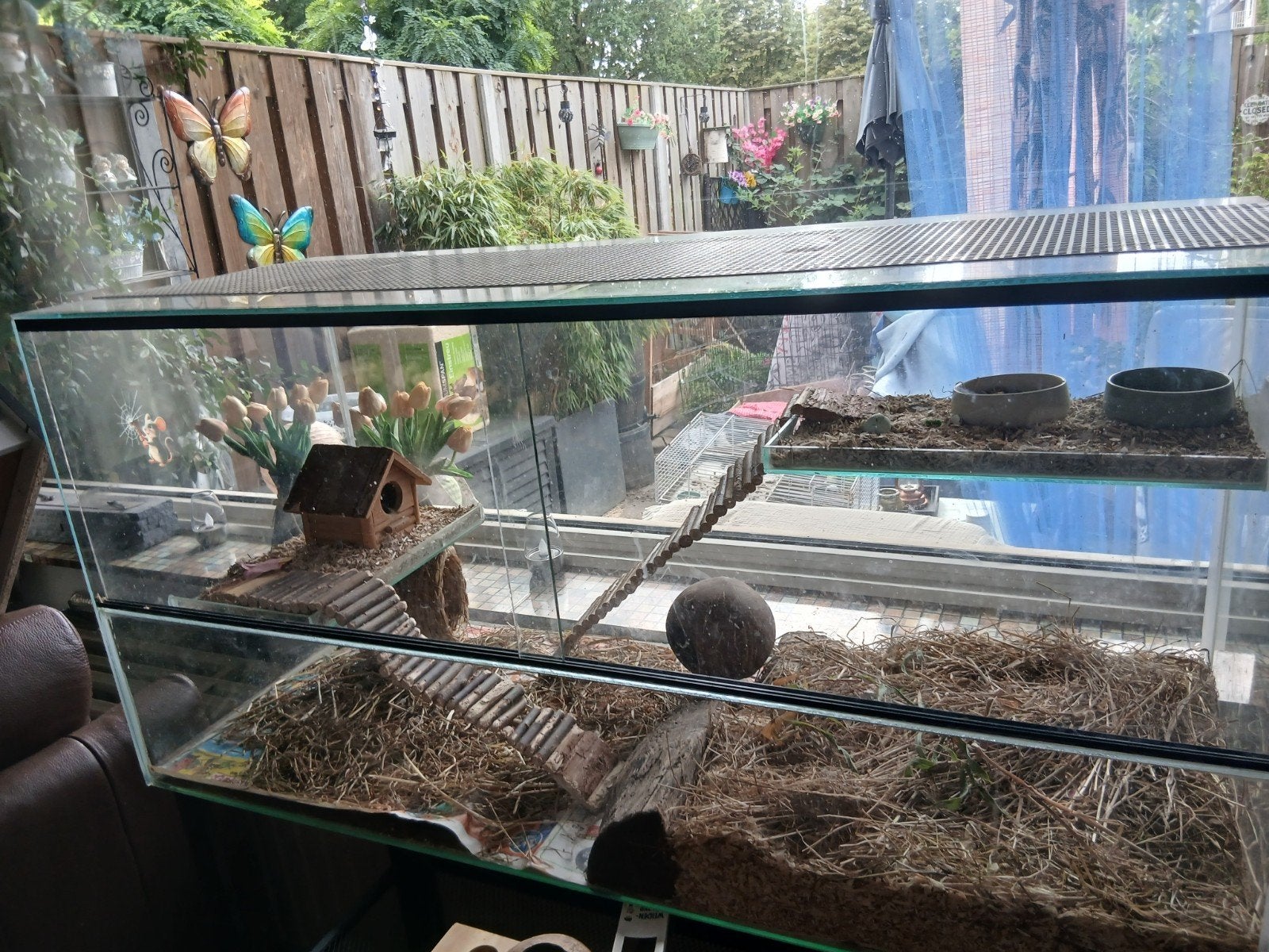 Hamsterrarium, Dieren en Toebehoren, Minder dan 60 cm, Gebruikt, Overige typen, Ophalen of Verzenden