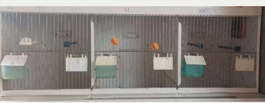3 vaks broedkooi, Dieren en Toebehoren, Vogels | Hokken en Kooien, Ophalen, Gebruikt, Metaal, Broedkooi of Kweekkooi