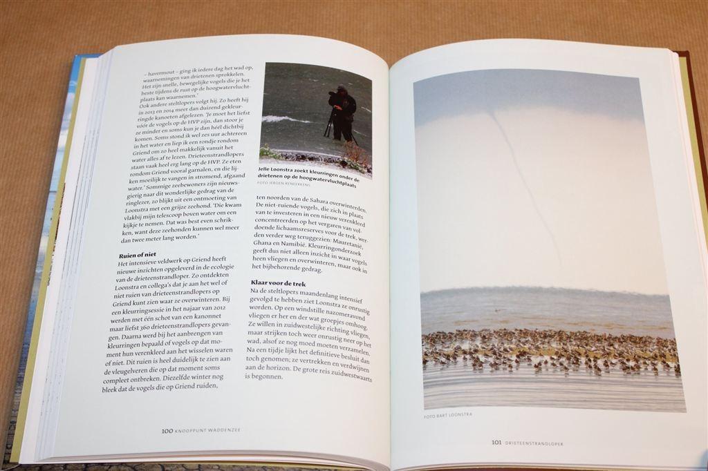 Knooppunt Waddenzee — Over Trekvogels en Voedselwebben, Ophalen of Verzenden, Zo goed als nieuw, Vogels