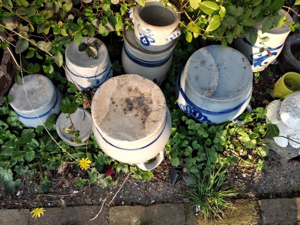 Partij Keulse potten, Tuin en Terras, Bloempotten, Gebruikt, Rond, Ophalen of Verzenden, Tuin