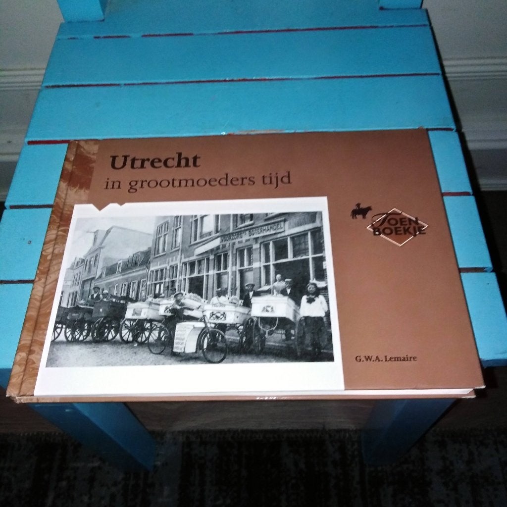 Fotoboek Utrecht in grootmoeders tijd door G.W.A. Lemaire, Ophalen, Gelezen