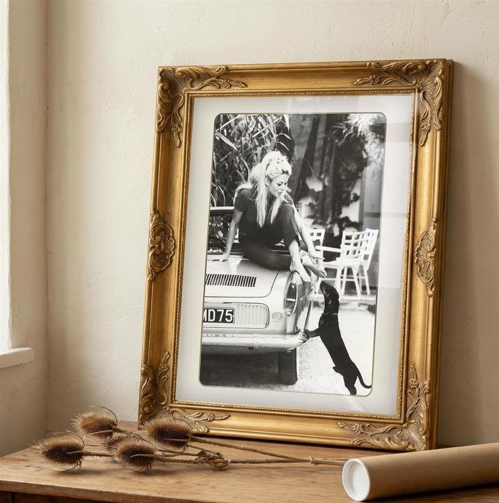 Brigitte Bardot Teckel Dachshund kunst print | poster, Verzenden