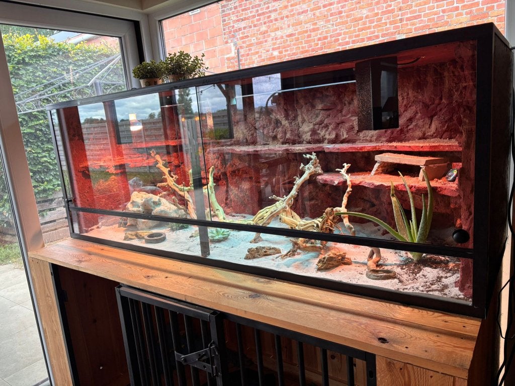 Terrarium op maat!, Ophalen of Verzenden, Nieuw