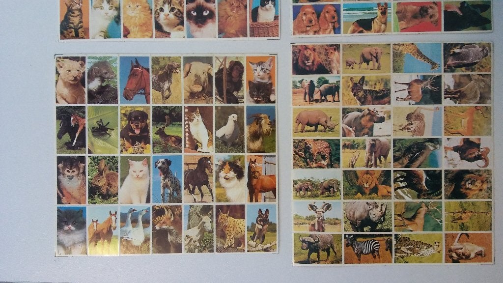 Honden katten dieren vintage stickers stickervelletjes, Ophalen of Verzenden, Zo goed als nieuw, Overige typen
