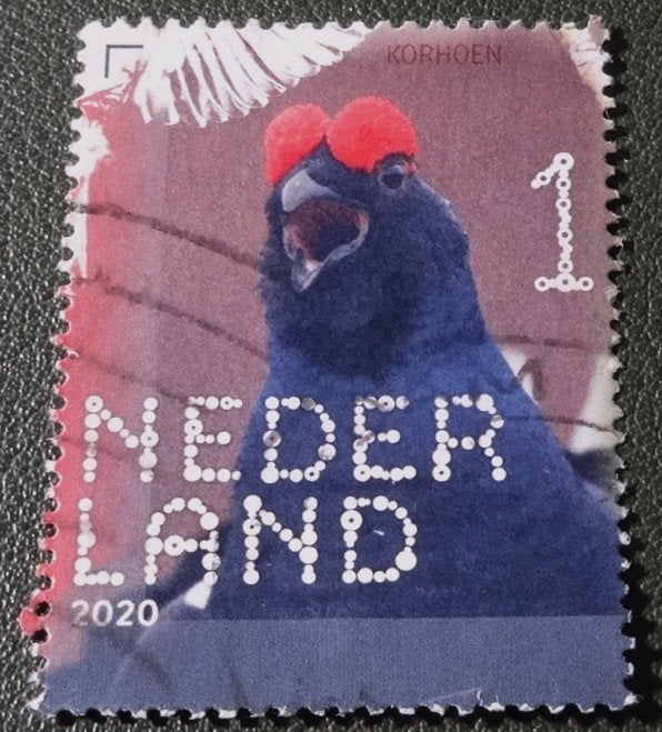 Beleef de Natuur - 3872 - 2020 - Korhoen - PNe01-16, Verzenden, Na 1940, Gestempeld