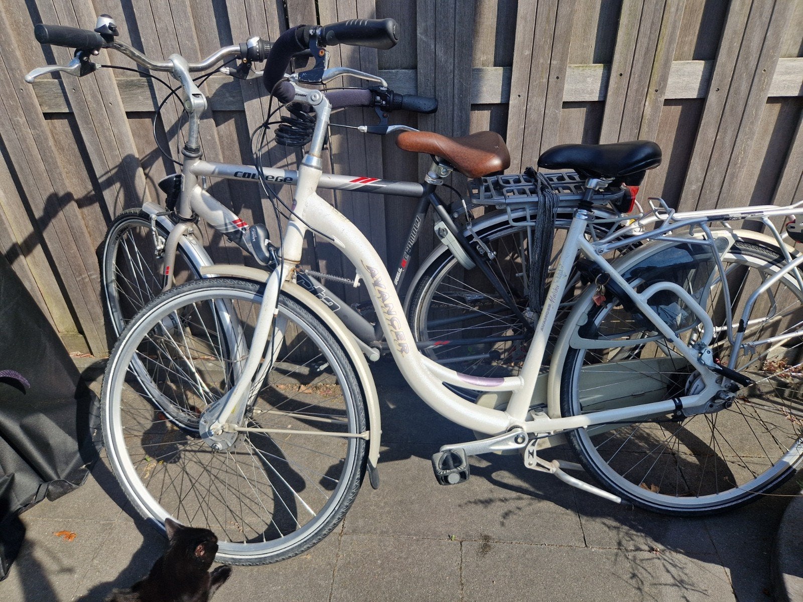 Moederfiets met lage instap, 3 versnellingen, 28 inch, Ophalen of Verzenden