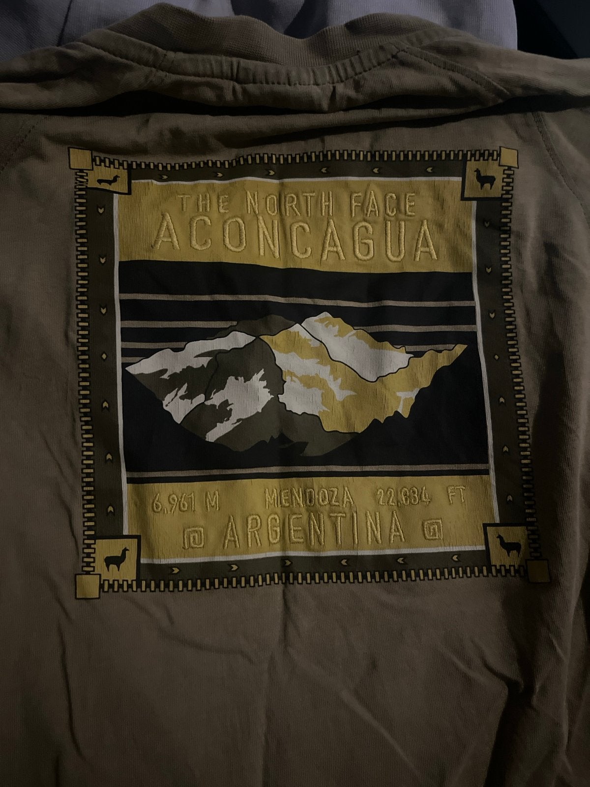 The North Face Aconcagua T-shirt - Maat s, Ophalen of Verzenden, Gedragen, Maat 46 (S) of kleiner, Groen