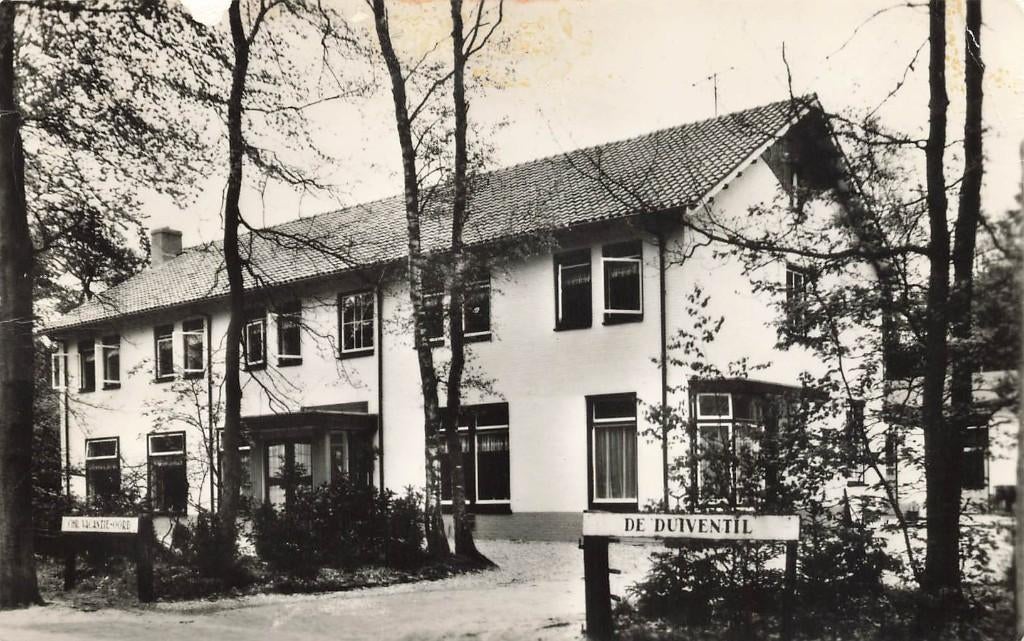Nunspeet, De Duiventil, Ophalen of Verzenden, 1960 tot 1980, Gelopen, Gelderland