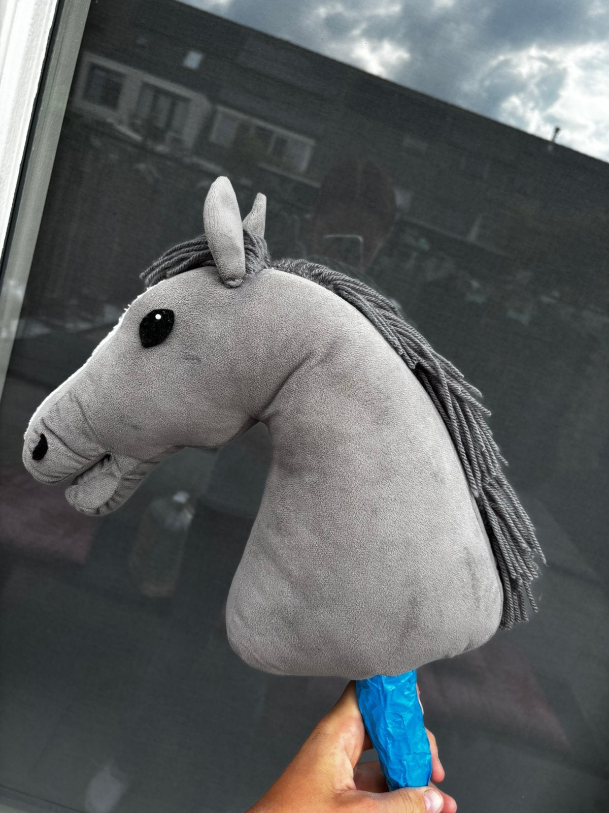 mooie hobbyhorse, Tickets en Kaartjes, Eén persoon