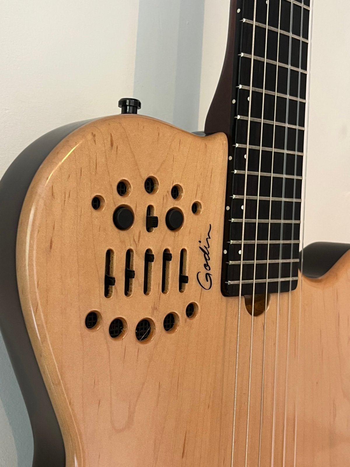 Godin Multiac ACS SA Nylom ACS-SA Heel Mooi, Ophalen, Zo goed als nieuw, Solid body, Overige merken
