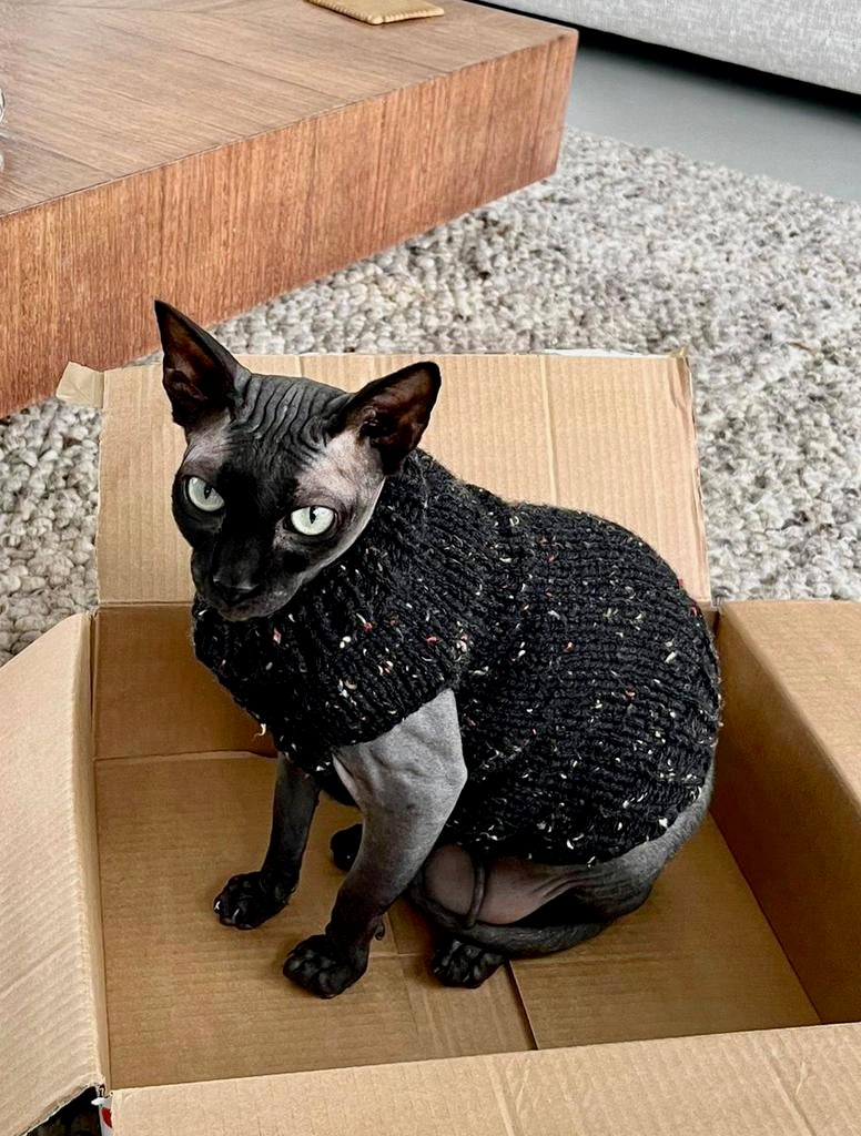 KATTENTRUI Handmade Sphynx Rex Kat Kitten Poes Kater Cornish, Dieren en Toebehoren, Ophalen of Verzenden, Nieuw