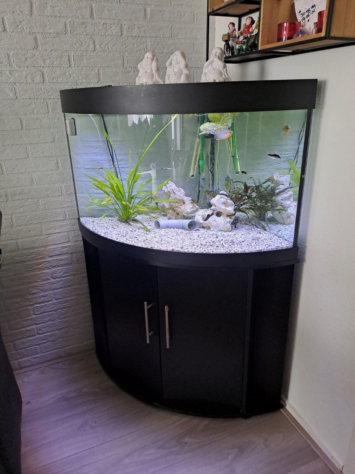 Hoek aquarium, Ophalen of Verzenden
