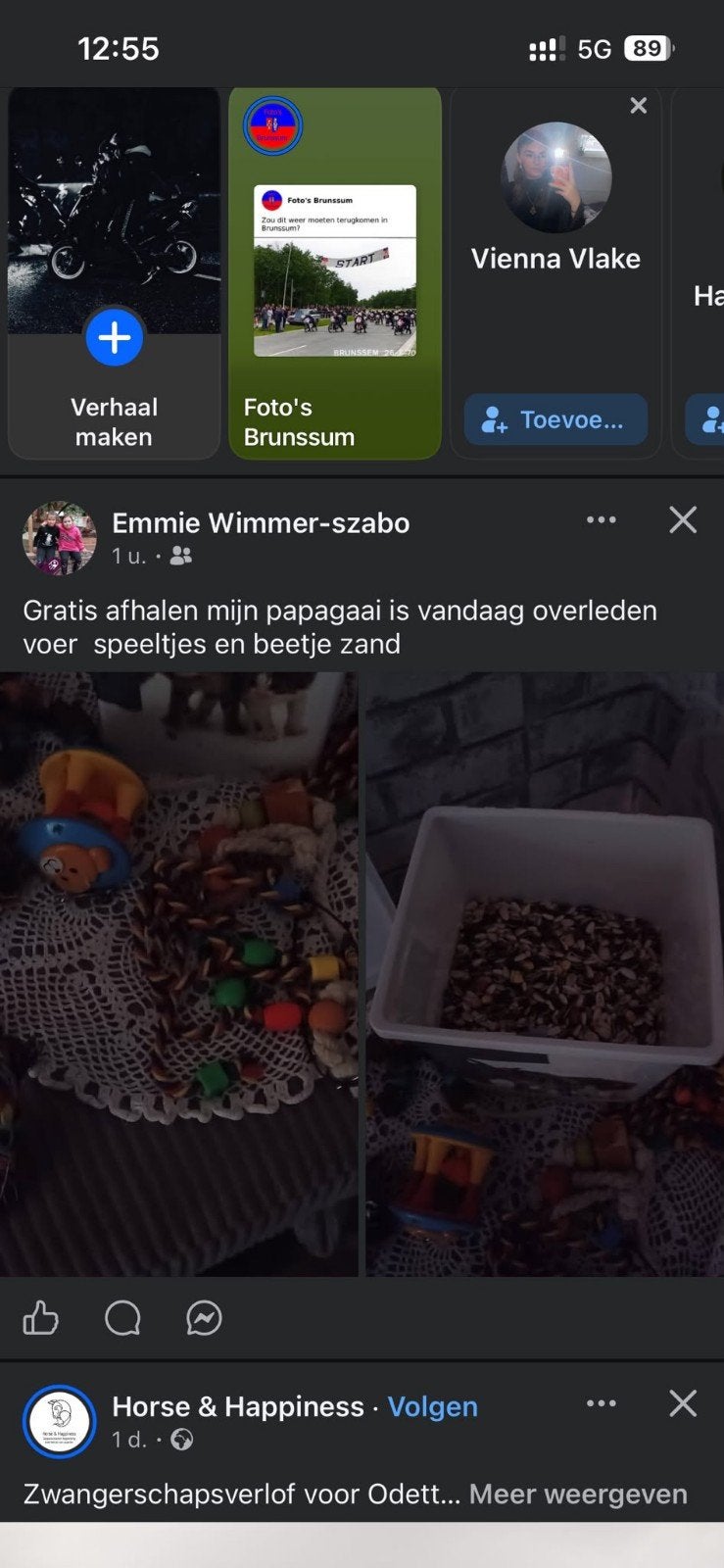 Papagaai benodigdheden