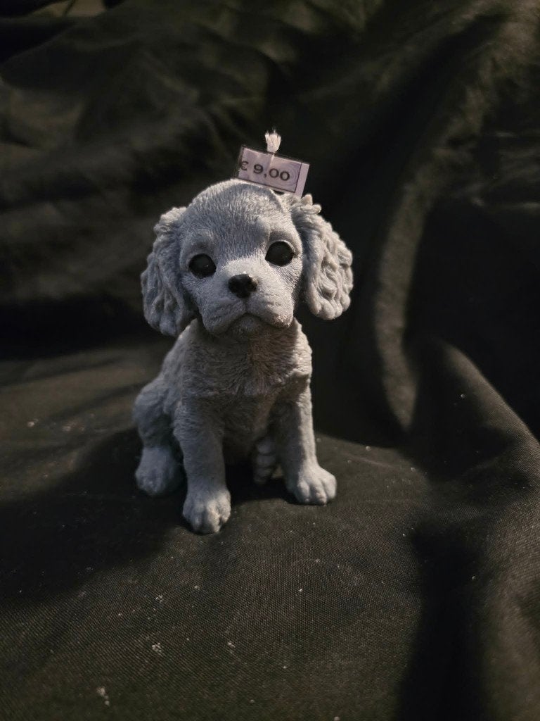 Sierkaars King Charles hondje, Ophalen of Verzenden, Nieuw, Dier