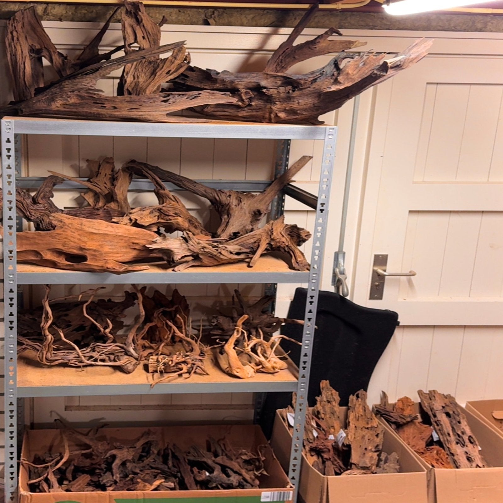 Grote Partij Kienhout / Spiderwood / Mangrove Hout Decoratie, Dieren en Toebehoren, Vissen | Aquaria en Toebehoren, Ophalen of Verzenden