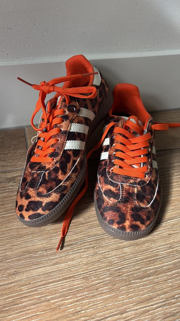 Adidas panter, Ophalen of Verzenden, Zo goed als nieuw, Schoenen