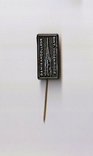 kunststof speld Damiaancollege, Sint Oedenrode, Verzenden, Overige onderwerpen, Speldje of Pin