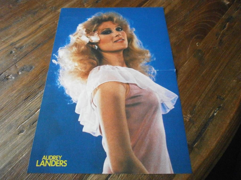 mooie a3 poster jr 80 Audrey Landers ( Dallas, bloemen), Verzenden, Zo goed als nieuw, A1 t/m A3, Film en Tv