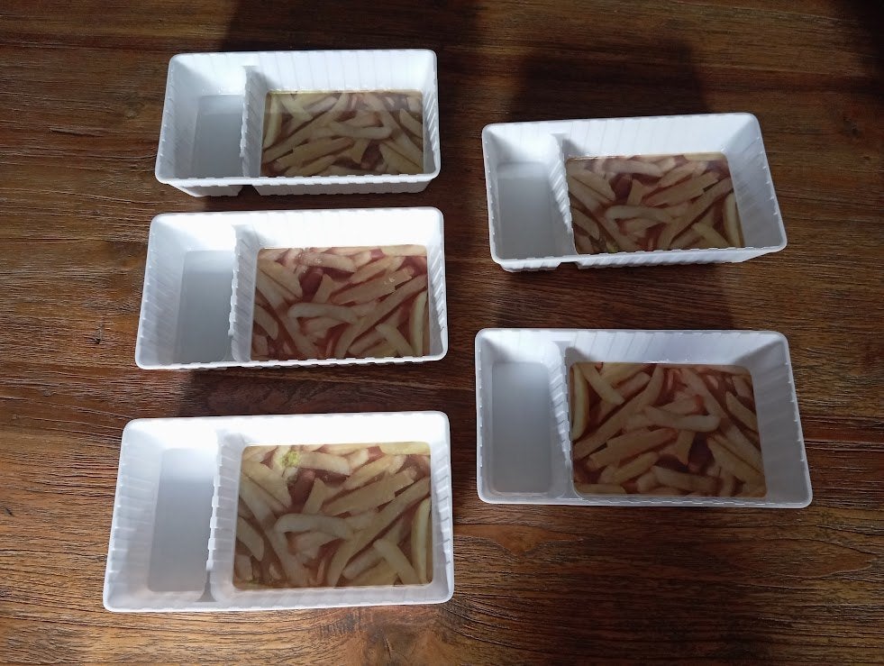 5 bakjes voor patat / friet en mayonaise, Verzenden, Nieuw