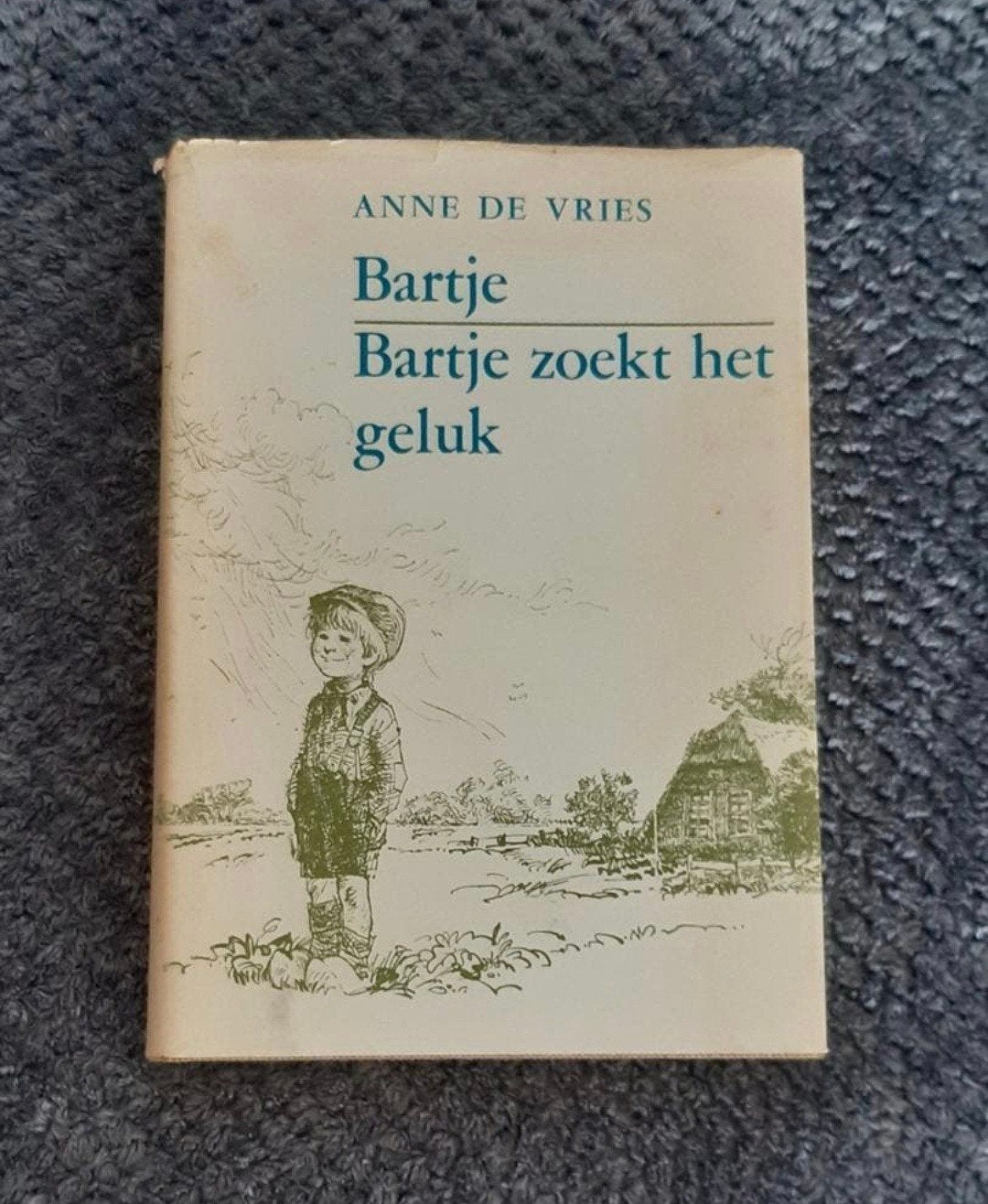 Bartje zoekt het geluk - Anne de Vries (met stofomslag), Ophalen of Verzenden
