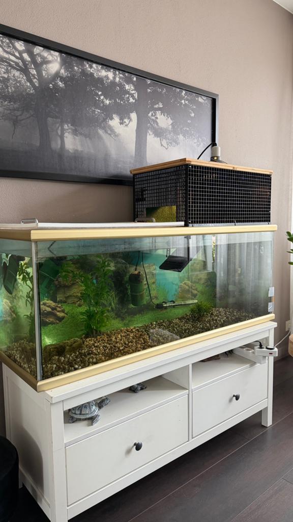 Waterschildpad aquarium met zon platform (docking station), Dieren en Toebehoren, Ophalen, Gebruikt, Terrarium of Paludarium