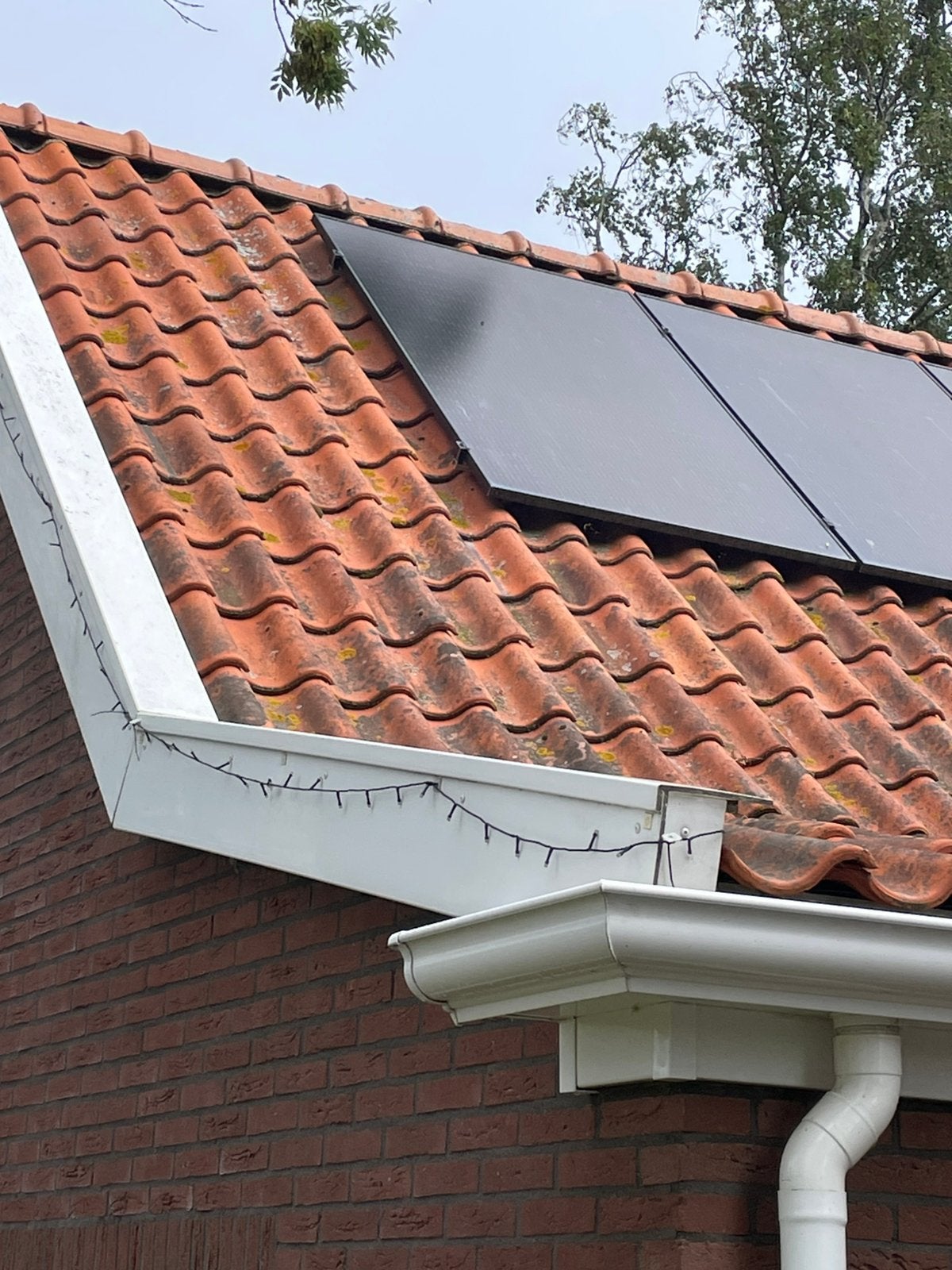 250 mooie WD&S  vhp dakpannen, Ophalen, Gebruikt