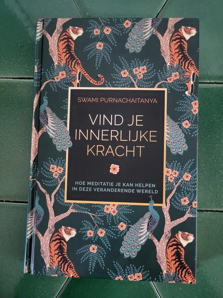 Swami Purnachaitanya - Vind je innerlijke kracht, Boeken, Meditatie of Yoga, Ophalen of Verzenden, Zo goed als nieuw, Swami Purnachaitanya