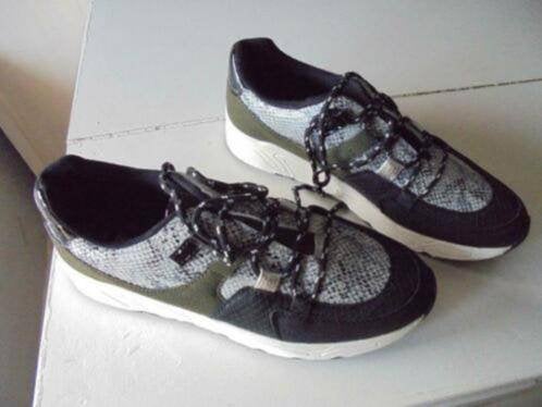sneakers Graceland maat 41 NIEUW, Nieuw, Ophalen of Verzenden, Sneakers of Gympen, Graceland