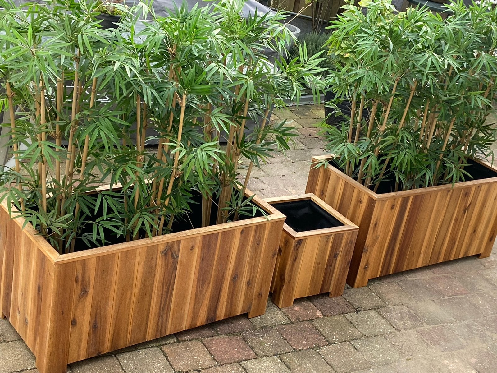 3 Plantenbakken met 6 Kunststof Bamboe Planten, Tuin en Terras, Gebruikt, Balkon, Vierkant, Ophalen of Verzenden