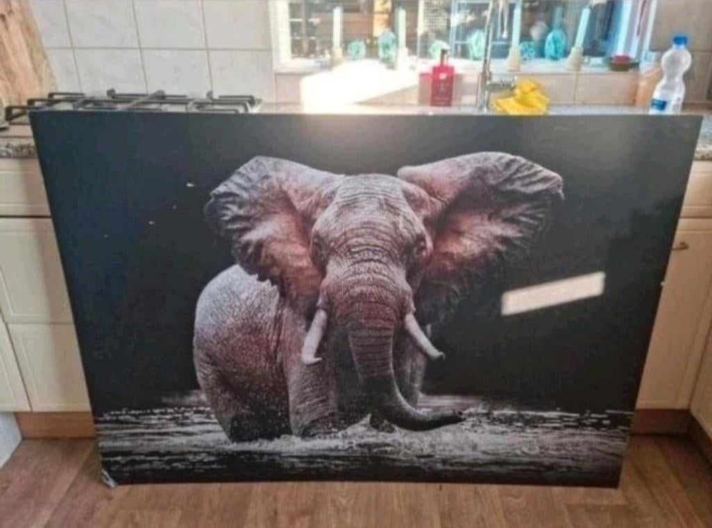 Enorme Olifanten lijst voor maar €10,-! Olifant Afrika

Besc, Ophalen, Gebruikt, Oorspronkelijke maker, 125 cm of meer
