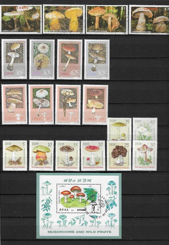 Postzegels thema paddestoelen, Ophalen of Verzenden, Dier of Natuur
