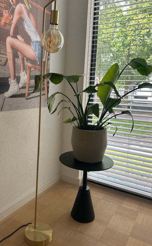 Moderne gouden vloerlamp inclusief WIZ lamp, Ophalen, E27 (groot), Zo goed als nieuw, Metaal