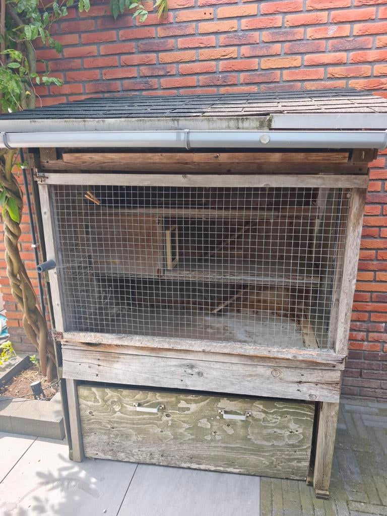 Gratis af te halen, Ophalen, 110 cm of meer, 90 cm of meer, Konijn