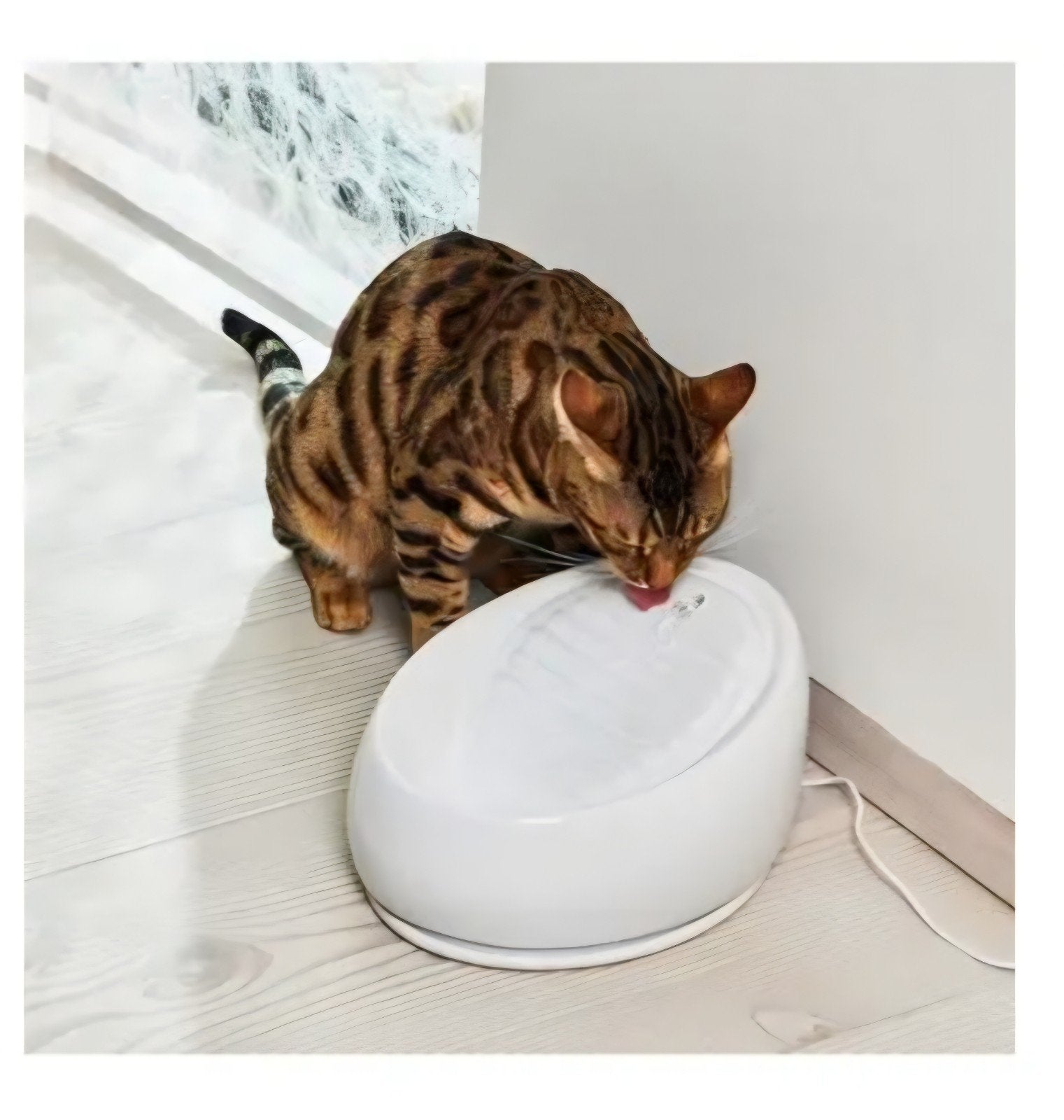 Keramische Drinkfontein Lucky Kitty, Ophalen