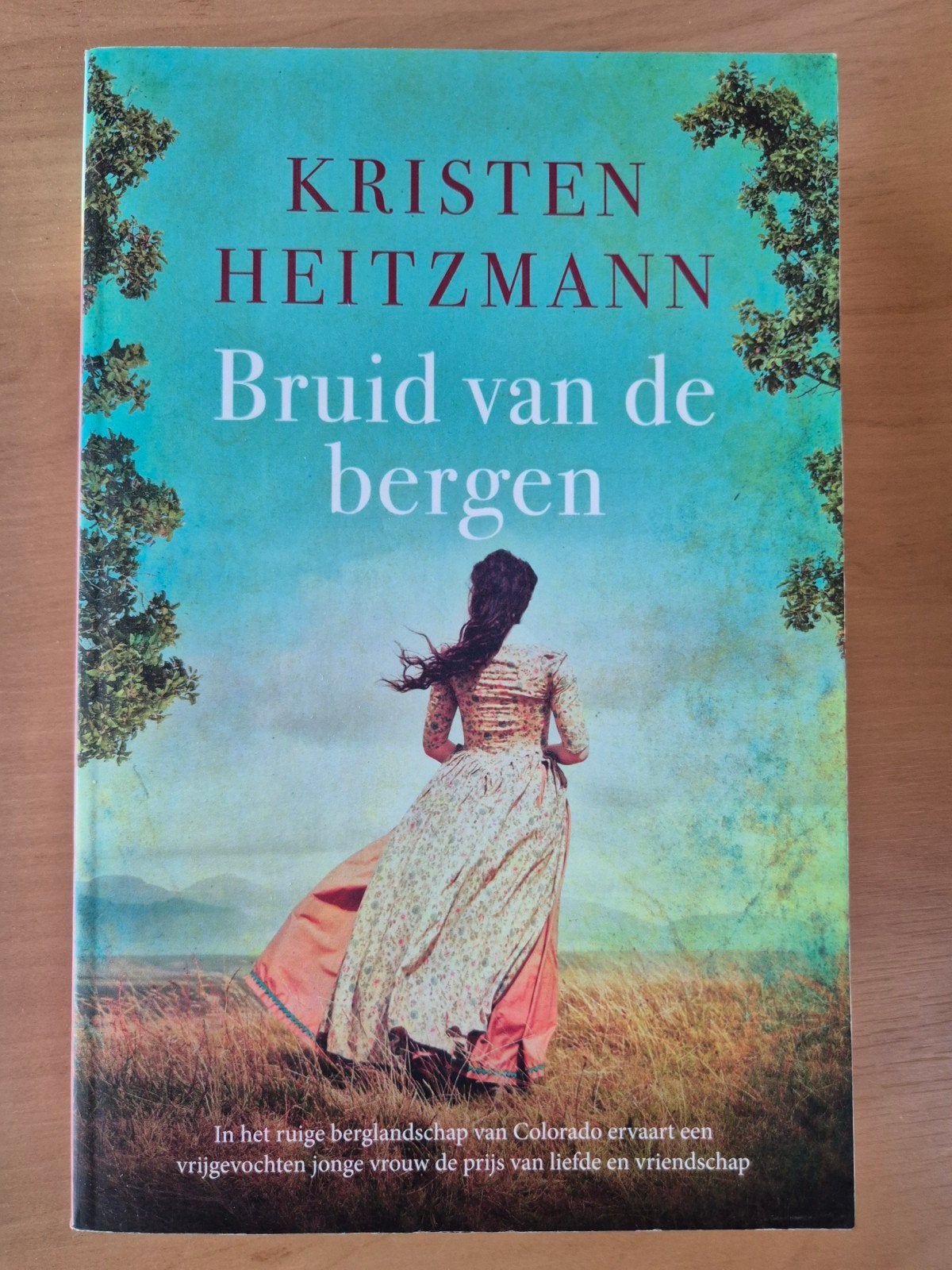 Bruid van de bergen - Kristen Heitzmann, Boeken, Ophalen of Verzenden, Zo goed als nieuw, Kristen Heitzmann, Amerika