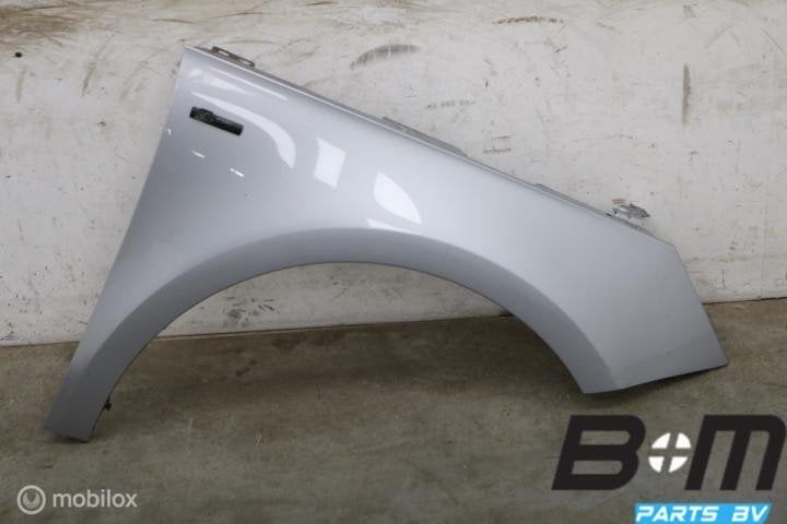 Spatscherm RV Audi A1 8X FL LZ7G 8X0821106A, Gebruikt