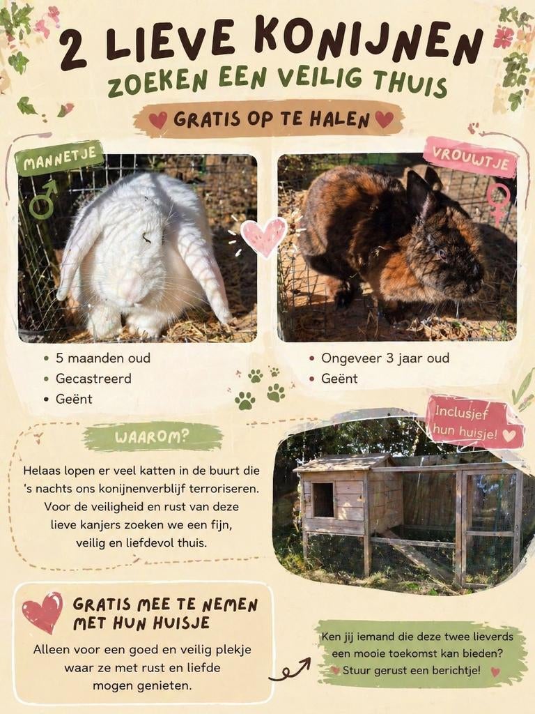 Gratis!!, Dieren en Toebehoren, Konijnen